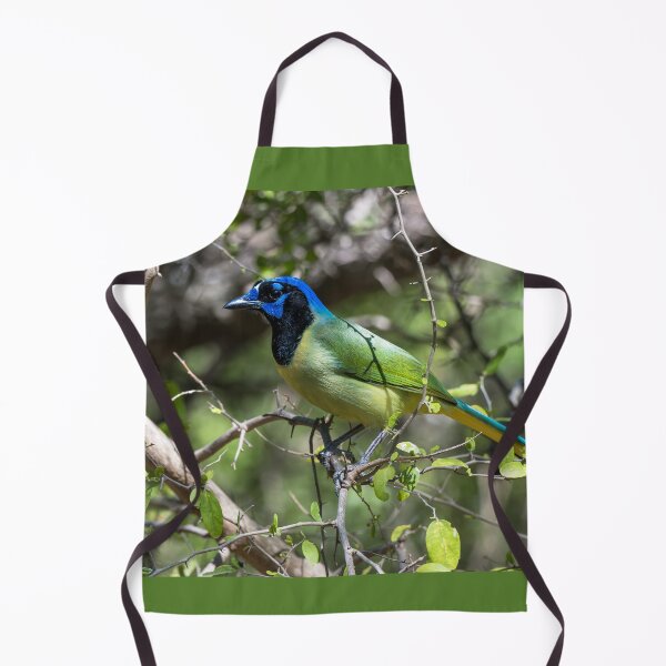 Item preview, Green Jay at Bentsen Rio Grande designed and sold by Debra Martz.