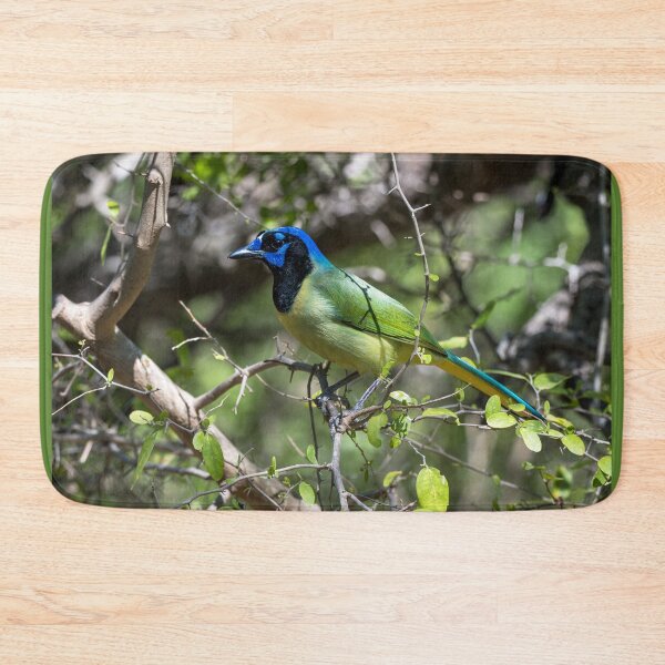 Item preview, Green Jay at Bentsen Rio Grande designed and sold by Debra Martz.