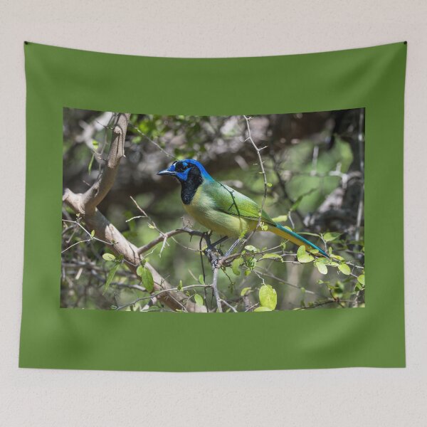 Item preview, Green Jay at Bentsen Rio Grande designed and sold by Debra Martz.