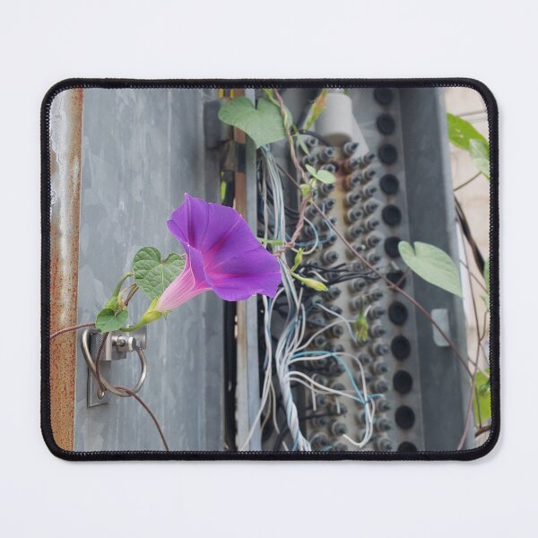 Item preview, Phone Box Morning Glory designed and sold by concretebotany.