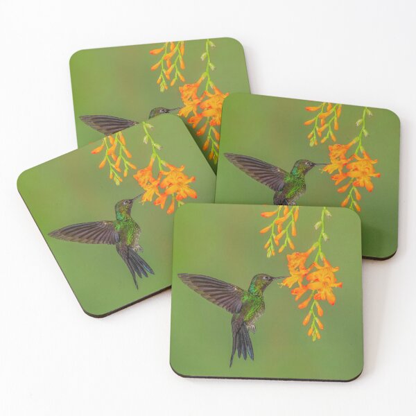 Item preview, Buff-tailed Coronet Hummingbird and Orange Blossoms designed and sold by Gerard Fornarotto.