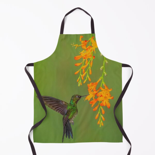 Item preview, Buff-tailed Coronet Hummingbird and Orange Blossoms designed and sold by Gerard Fornarotto.