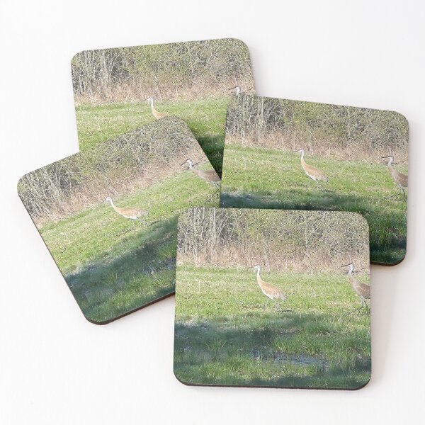 Item preview, Birds in a field designed and sold by stuffinthings82.