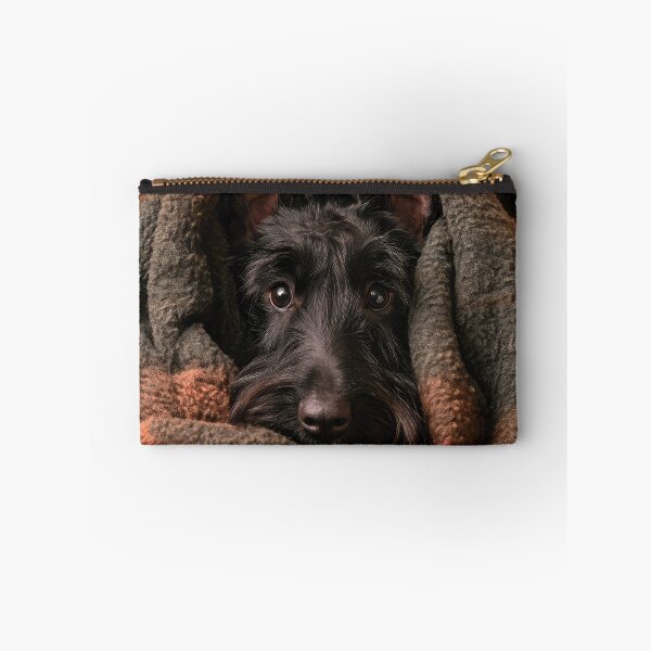 Item preview, Black Scottish Terrier in Blanket 01 designed and sold by Elisabeth Lucas.