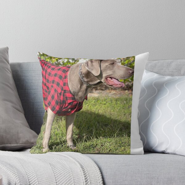 Item preview, In Charge  designed and sold by BarbaraJDurham1.