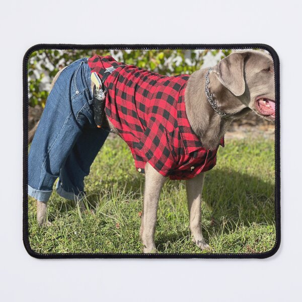Item preview, In Charge designed and sold by BarbaraJDurham1.