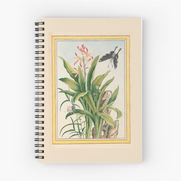 Item preview,  Pierre Joseph Buchoz  Butterfly Aquatic Lily Vintage designed and sold by TeeARTHY.