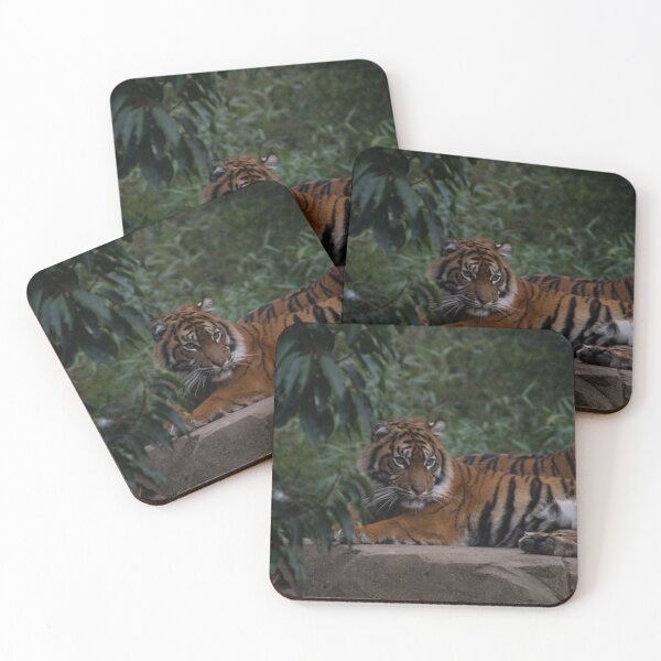 Item preview, Tigers Part 1 designed and sold by Odysseylens.