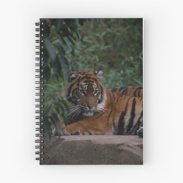 Item preview, Tigers Part 1 designed and sold by Odysseylens.