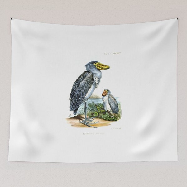 Item preview, Balaeniceps rex by Joseph Wolf designed and sold by Amanda1775.