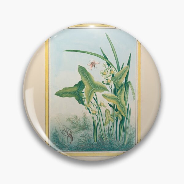 Item preview,  Pierre Joseph Buchoz  Arrowhead Botanical Vintage Art designed and sold by TeeARTHY.