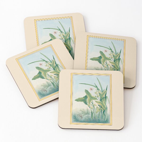 Item preview,  Pierre Joseph Buchoz  Arrowhead Botanical Vintage Art designed and sold by TeeARTHY.