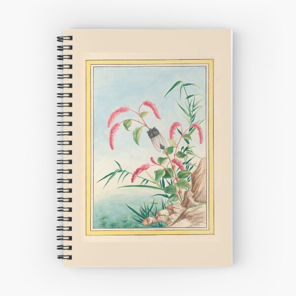 Item preview,  Pierre Joseph Buchoz  Pink Tassel Flower Cicada Botanical designed and sold by TeeARTHY.