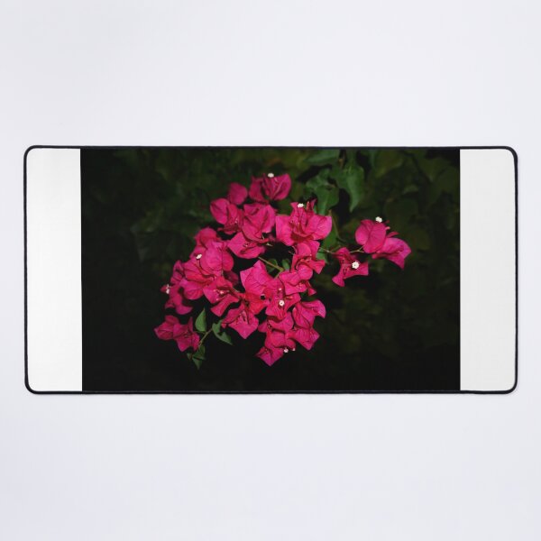 Item preview, Midnight Bougainvillea designed and sold by BeatrizESPhoto.