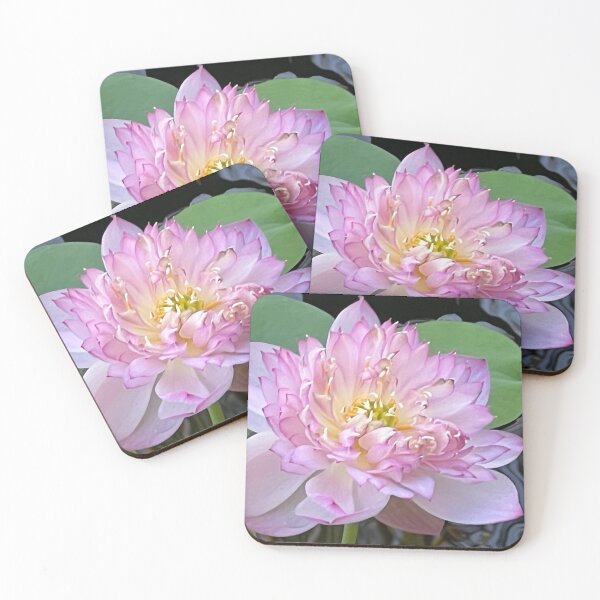 Item preview, Water Lily designed and sold by BarbaraJDurham1.