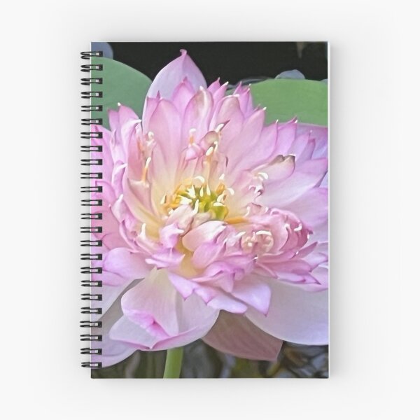 Item preview, Water Lily designed and sold by BarbaraJDurham1.