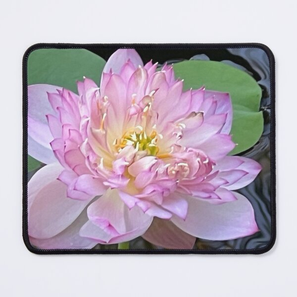 Item preview, Water Lily designed and sold by BarbaraJDurham1.