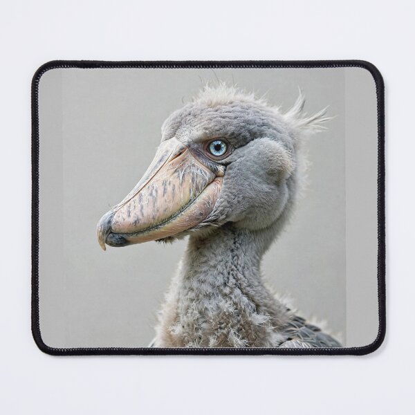 Item preview, Shoebill designed and sold by Savannah Gibbs.