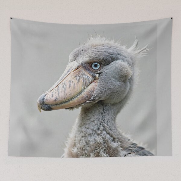 Item preview, Shoebill  designed and sold by Savannah Gibbs.