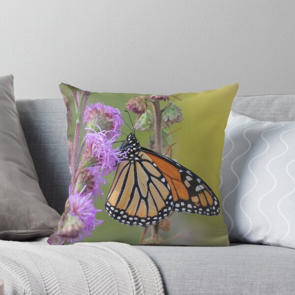 Item preview, Monarch on Meadow Blazing Star 8-30-2026  designed and sold by Thomasyoung.