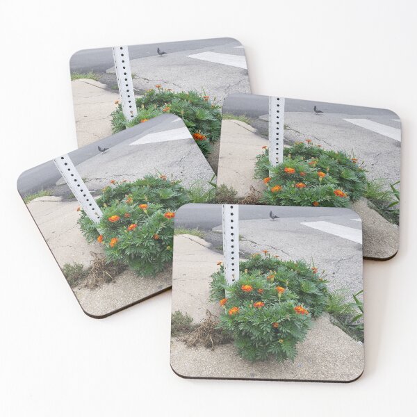 Item preview, Crackplant Marigold in Point Breeze designed and sold by concretebotany.