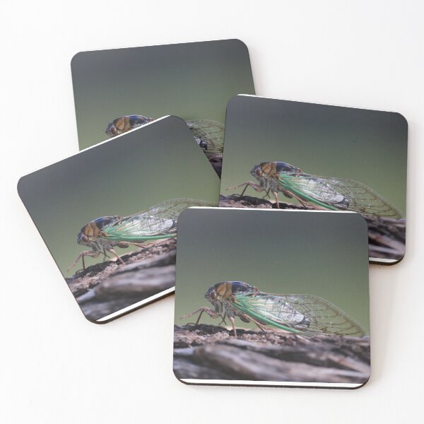 Item preview, Grand Western Flood Plain Cicada designed and sold by WolfRaven Creations.