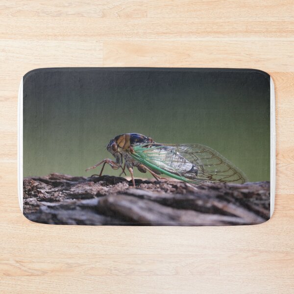 Item preview, Grand Western Flood Plain Cicada designed and sold by WolfRaven Creations.
