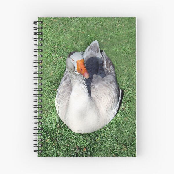 Item preview, Did You Bring Me Food? designed and sold by heatherfriedman.