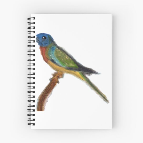 Item preview, Scarlet-chested Parrot designed and sold by woodland-towers.