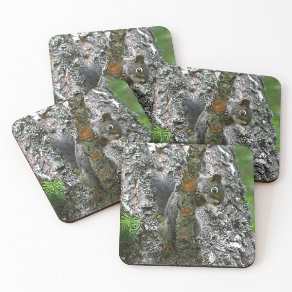 Item preview, Douglas Squirrel in Tree designed and sold by CarolM.