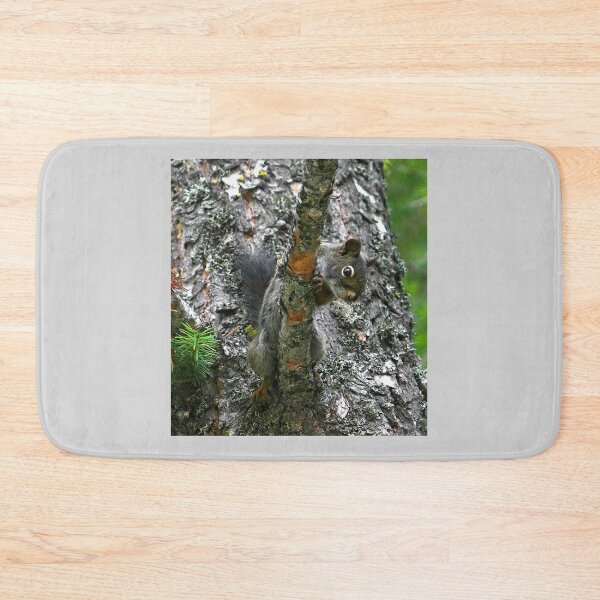 Item preview, Douglas Squirrel in Tree designed and sold by CarolM.