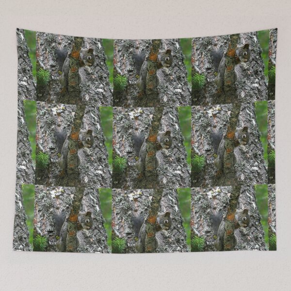 Item preview, Douglas Squirrel in Tree designed and sold by CarolM.