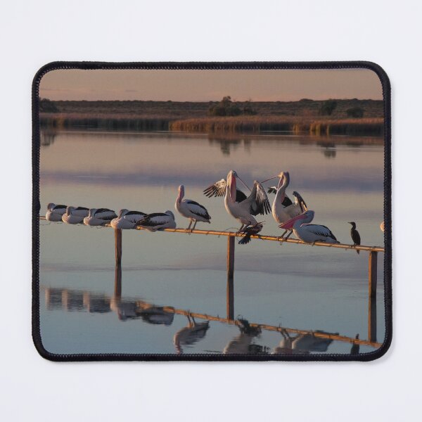 Item preview, Sunset Pelicans all in a row designed and sold by Seesee.