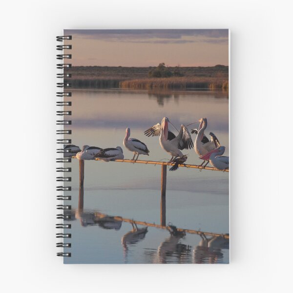 Item preview, Sunset Pelicans all in a row designed and sold by Seesee.