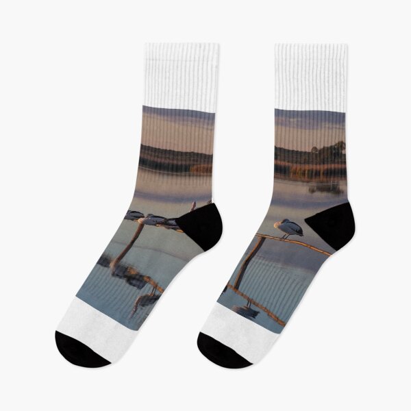 Item preview, Sunset Pelicans all in a row designed and sold by Seesee.
