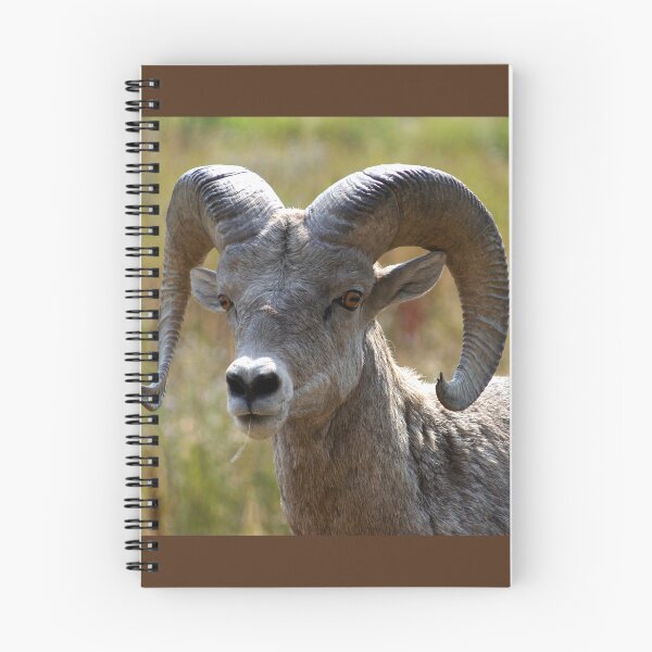 Item preview, Ram Portrait designed and sold by CarolM.