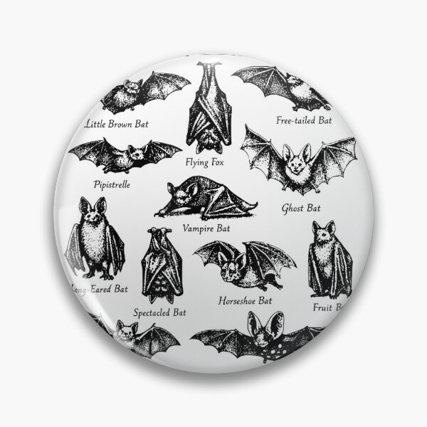 Item preview, Halloween 90s Teacher Bat Species Vintage Sunset Graphic T-Shirt designed and sold by Djtahar15.