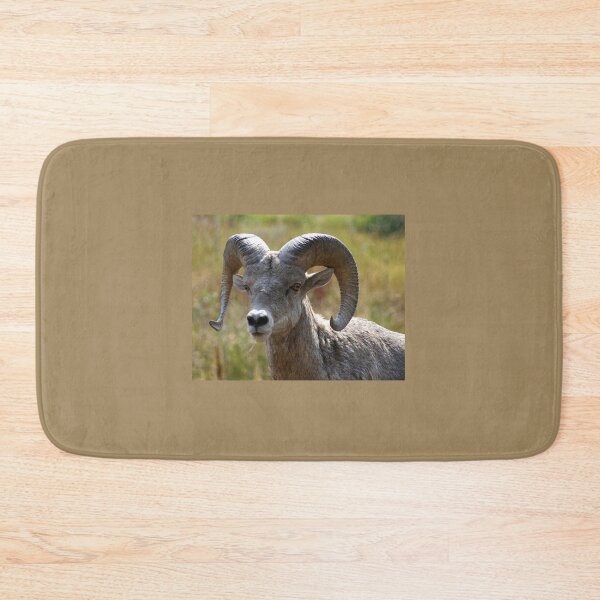 Item preview, Ram Portrait designed and sold by CarolM.