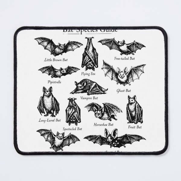 Item preview, Halloween 90s Teacher Bat Species Vintage Sunset Graphic T-Shirt designed and sold by Djtahar15.