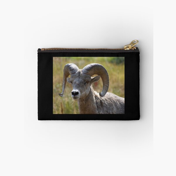 Item preview, Ram Portrait designed and sold by CarolM.