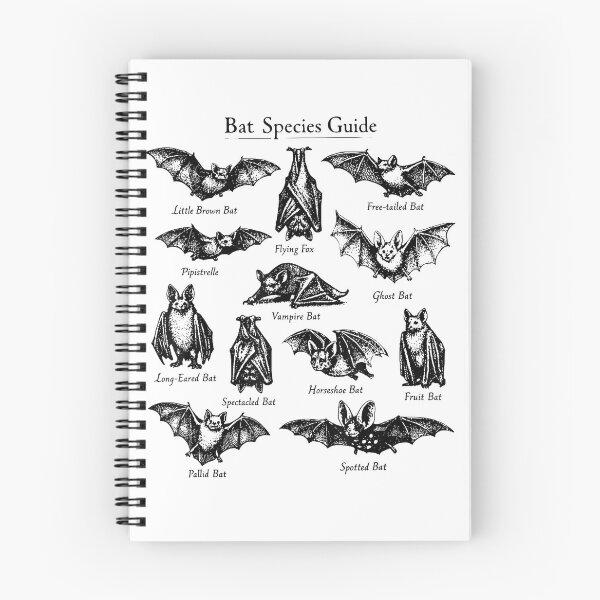 Item preview, Halloween 90s Teacher Bat Species Vintage Sunset Graphic T-Shirt designed and sold by Djtahar15.