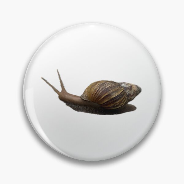 Item preview, garden snail with a brown spiral shell designed and sold by pipikijung.