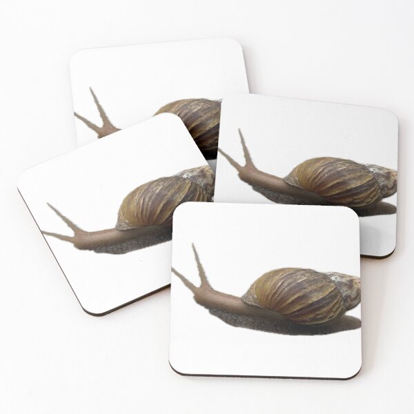 Item preview, garden snail with a brown spiral shell designed and sold by pipikijung.