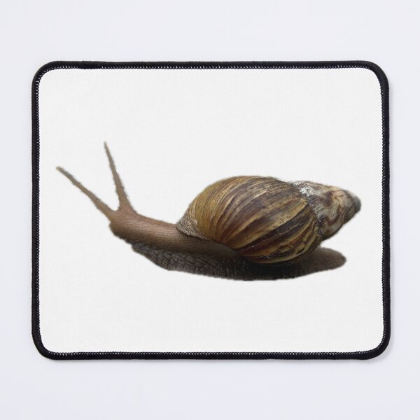 Item preview, garden snail with a brown spiral shell designed and sold by pipikijung.