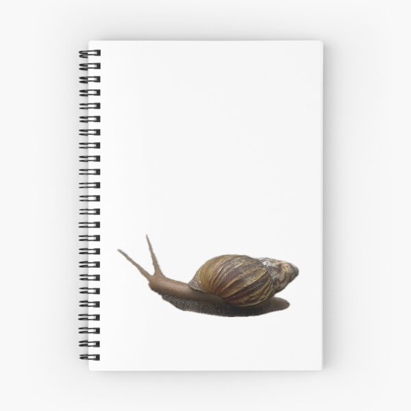 Item preview, garden snail with a brown spiral shell designed and sold by pipikijung.