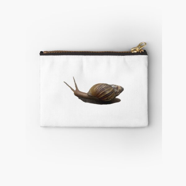 Item preview, garden snail with a brown spiral shell designed and sold by pipikijung.