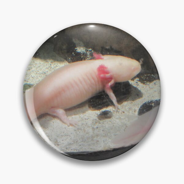 Item preview, Axolotl designed and sold by GoobsPhotoCo.