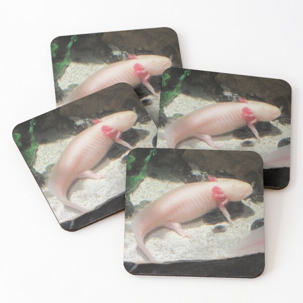 Item preview, Axolotl designed and sold by GoobsPhotoCo.