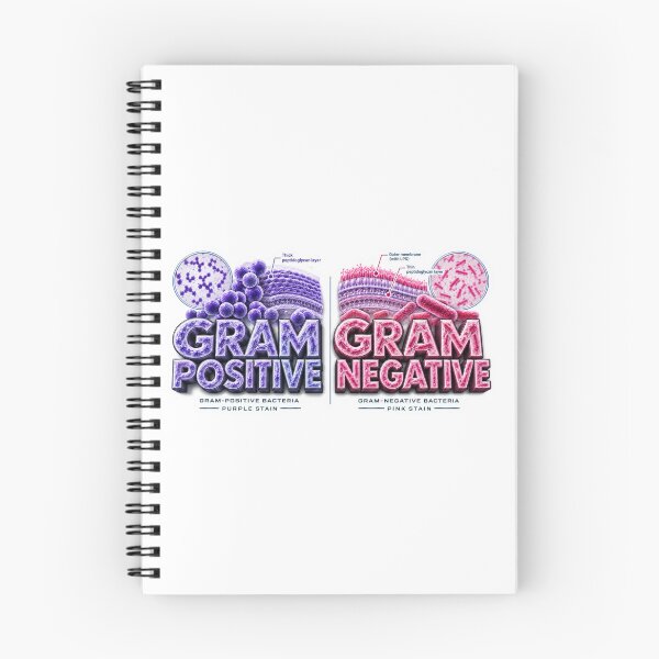 Item preview, Gram Positive Gram Negative designed and sold by pradeepvisuals.