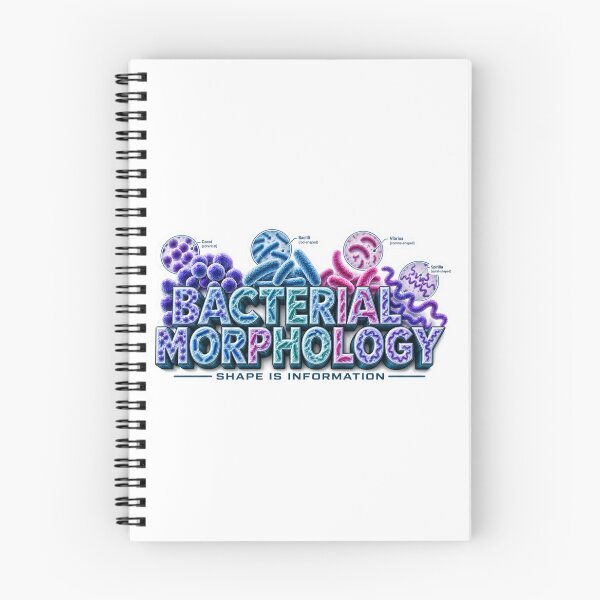 Item preview, Bacterial Morphology Shape Is Information designed and sold by pradeepvisuals.